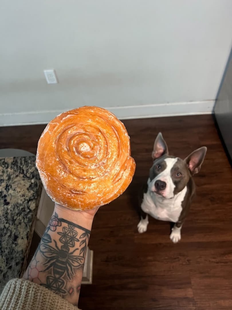 Kid enjoying a donut